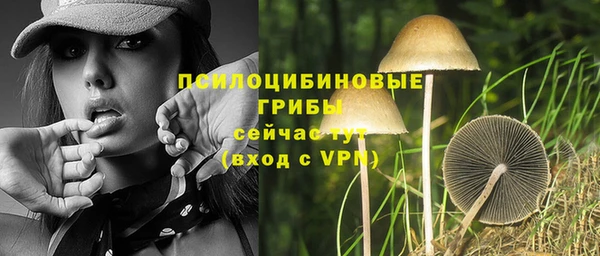 винт Абаза