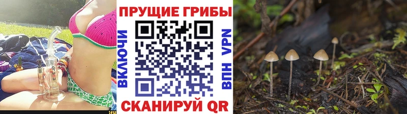 Галлюциногенные грибы ЛСД  что такое наркотик  Ильский 
